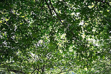 NCSOFT公布开放世界新作《Project LLL》 MMO+第三人称射击