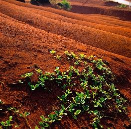 《最终幻想起源：天堂的陌生人》打铁铺功能介绍